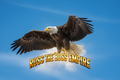 5-Minute Hard Target Home Audit Checklist — Navy Veteran Security PDF